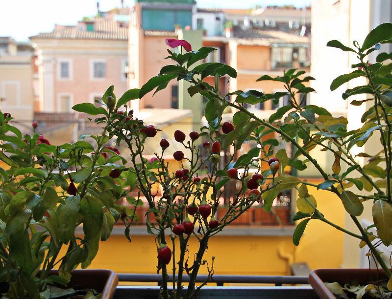 Couette-café Magenta Pantheon Navona Rome
